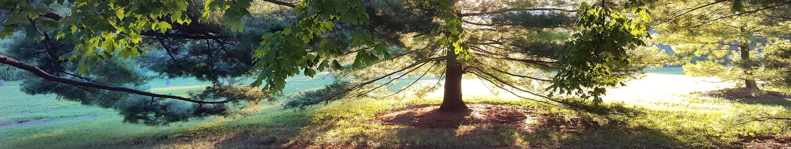 The Reiki Share Project Classes Photo Gallery