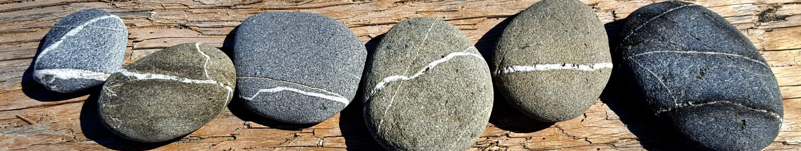 The Reiki Share Project Feedback and Stories